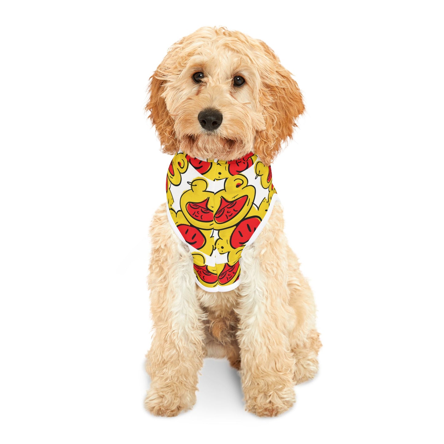 Teddie - Playful Pet Hoodie for Dogs & Cats, Cute Animal Sweater, Cozy Hoodie for Pets, Summer Dog Outfit from OurNaturalState.