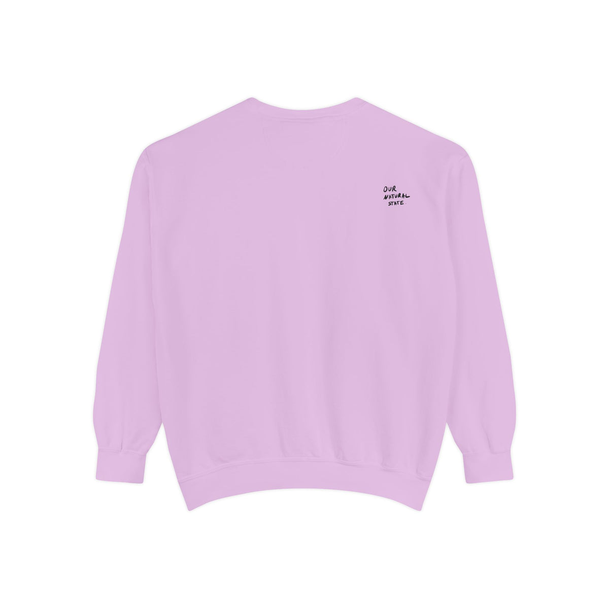 Art Over Algorithms — Graphic Statement Crewneck sweatshirt from OurNaturalState.