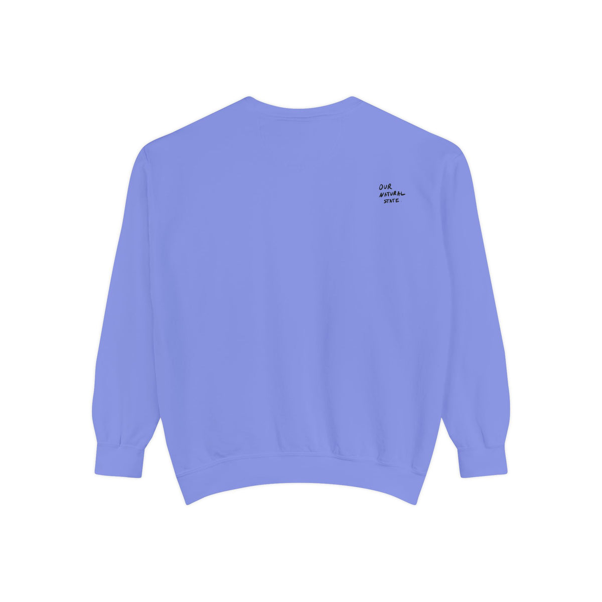 Art Over Algorithms — Graphic Statement Crewneck sweatshirt from OurNaturalState.